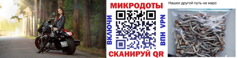 Галлюциногенные грибы ЛСД  купить наркотик  Великий Устюг 