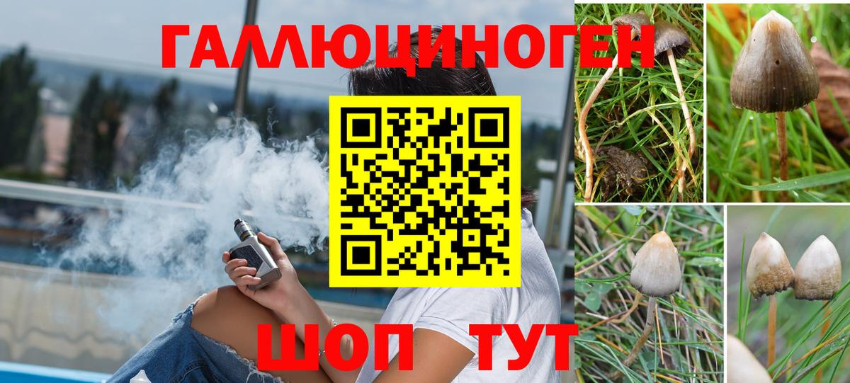 Псилоцибиновые грибы Cubensis  Вход с VPN  Великий Устюг 