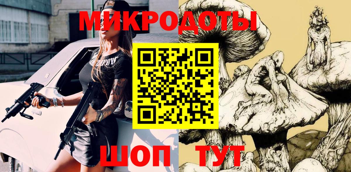 Псилоцибиновые грибы Psilocybe Великий Устюг